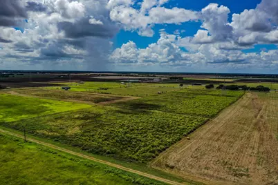 000 County Road 20, Damon, TX 77430 - Photo 6