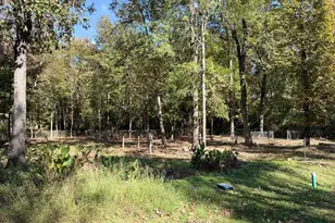 250 Beaver Run, Livingston, TX 77351 - Photo 1