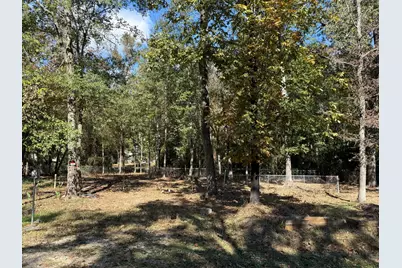 250 Beaver Run, Livingston, TX 77351 - Photo 16