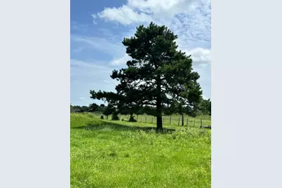 20573 Fontenot Lane, Hempstead, TX 77445 - Photo 18