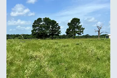 20573 Fontenot Lane, Hempstead, TX 77445 - Photo 24