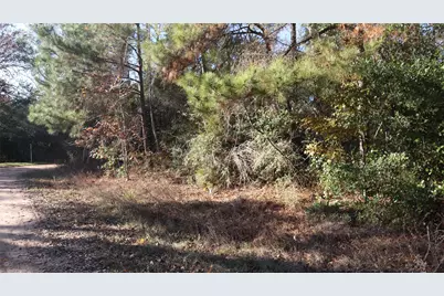 0 Mallard Drive, Coldspring, TX 77331 - Photo 6