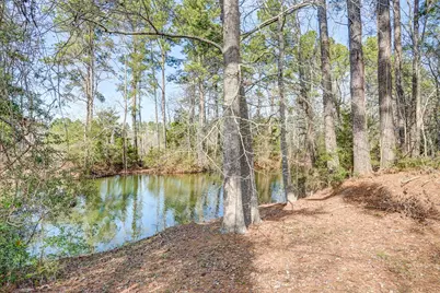 53 Smith Loop N, Cleveland, TX 77327 - Photo 16