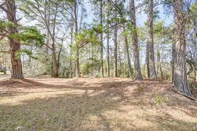 53 Smith Loop N, Cleveland, TX 77327 - Photo 18