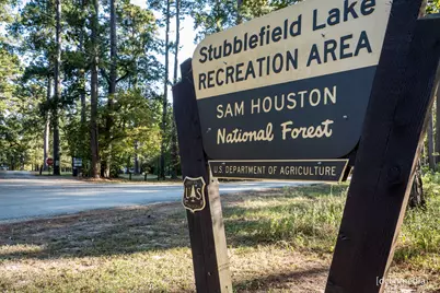 5-26-12 Inscription Lane, Huntsville, TX 77340 - Photo 6