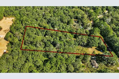 1100 Cherry Creek Drive, Shepherd, TX 77371 - Photo 10