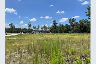 20035 Kincaid Drive, Conroe, TX 77306 - Photo 4