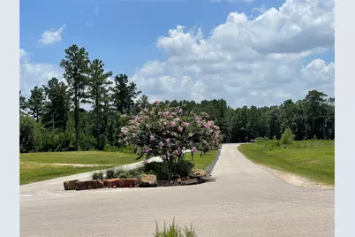 20035 Kincaid Drive, Conroe, TX 77306 - Photo 2
