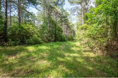 1068 County Road 3200, Colmesneil, TX 75938 - Photo 44