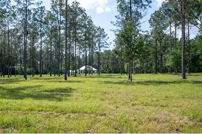 1068 County Road 3200, Colmesneil, TX 75938 - Photo 2