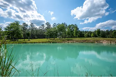 1068 County Road 3200, Colmesneil, TX 75938 - Photo 8