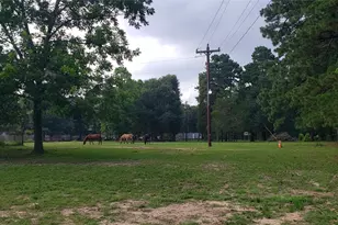 5620 Sapp Rd, Conroe, TX 77304 - Photo 6