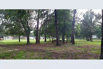 5620 Sapp Road, Conroe, TX 77304 - Photo 4