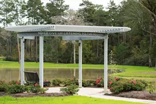 39039 Heron Beak Ct, Magnolia, TX 77354 - Photo 6