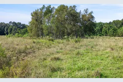22.4 Acres Bailey Grove Road, Montgomery, TX 77356 - Photo 20