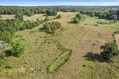 22.4 Acres Bailey Grove Road, Montgomery, TX 77356 - Photo 34