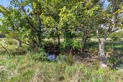 22.4 Acres Bailey Grove Road, Montgomery, TX 77356 - Photo 14