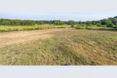 22.4 Acres Bailey Grove Road, Montgomery, TX 77356 - Photo 6