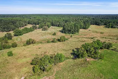 22.4 Acres Bailey Grove Road, Montgomery, TX 77356 - Photo 36