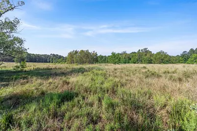 22.4 Acres Bailey Grove Road, Montgomery, TX 77356 - Photo 18
