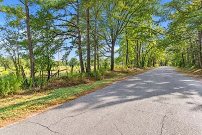 22.4 Acres Bailey Grove Road, Montgomery, TX 77356 - Photo 2
