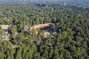 7015 Woodlake Trl, Montgomery, TX 77316 - Photo 30