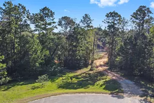 7015 Woodlake Trl, Montgomery, TX 77316 - Photo 6