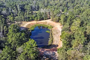 7015 Woodlake Trl, Montgomery, TX 77316 - Photo 14