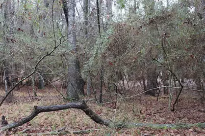 Lot 6 Magnolia Court, Trinity, TX 75862 - Photo 1