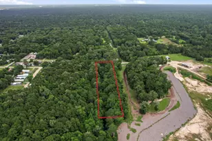 000 Baptist Encampment Rd, New Caney, TX 77357 - Photo 4