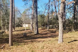 1909 Rollingwood Dr, Huntsville, TX 77340 - Photo 4