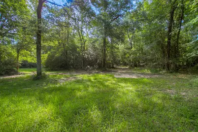 Tbd Dahlia Road, Huntsville, TX 77320 - Photo 4