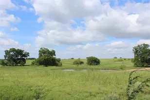 14808 Whitman Rd, Washington, TX 77880 - Photo 18