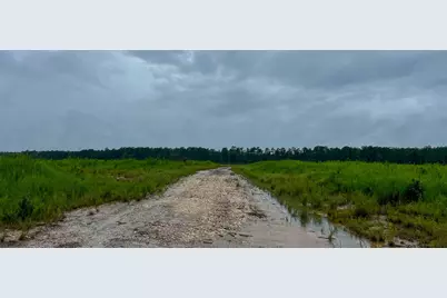 1 Fm 1276, Livingston, TX 77351 - Photo 16