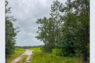 1 Fm 1276, Livingston, TX 77351 - Photo 18