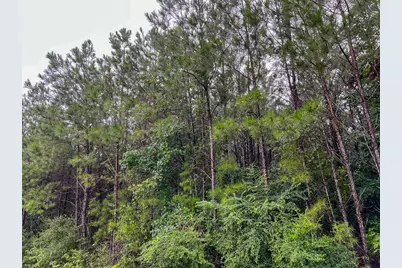 1 Fm 1276, Livingston, TX 77351 - Photo 12