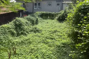 3405 Bernardo De Galvez Ave, Galveston, TX 77550 - Photo 8