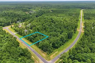 16068 Four Hls Rd, Willis, TX 77378 - Photo 1