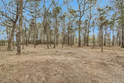 2921 Beasley Road, Conroe, TX 77301 - Photo 12