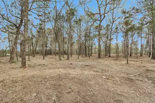 2921 Beasley Rd, Conroe, TX 77301 - Photo 12