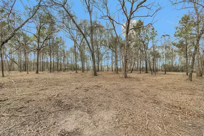 2921 Beasley Road, Conroe, TX 77301 - Photo 14