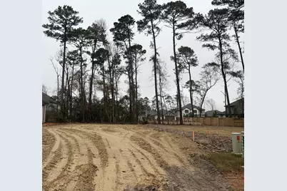 510 Tawny Rim Drive, Conroe, TX 77318 - Photo 6