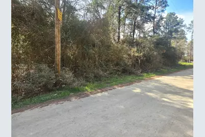 Lot 2 Live Oak Drive, Plantersville, TX 77363 - Photo 16