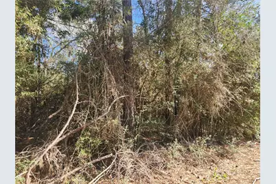 Lot 2 Live Oak Drive, Plantersville, TX 77363 - Photo 12