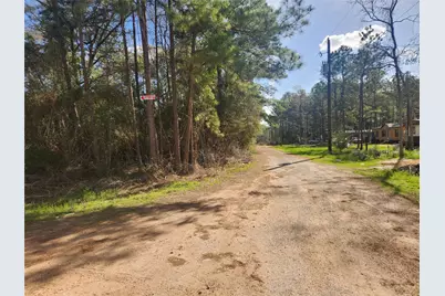 Lot 2 Live Oak Drive, Plantersville, TX 77363 - Photo 6