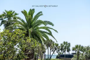 9520 Seawall Blvd, Galveston, TX 77554 - Photo 26