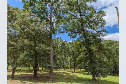 6099 County Road 302, Navasota, TX 77868 - Photo 6