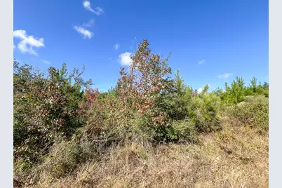 T-1 Fm 787, Votaw, TX 77376 - Photo 8