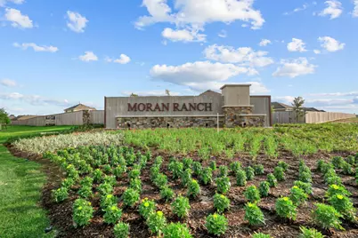 985 Garden Path Drive, Willis, TX 77378 - Photo 18