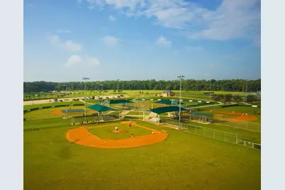 2614 Regal Bloom Drive, Missouri City, TX 77459 - Photo 4